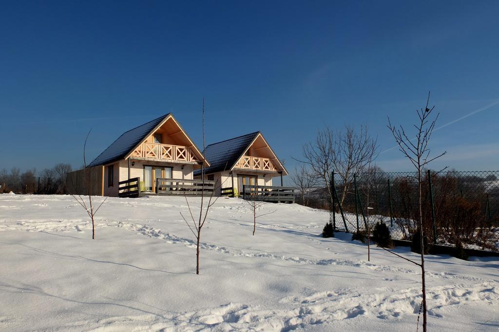 Apartamenty Żywiec Екстериор снимка
